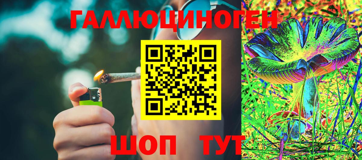 Касимов  Псилоцибиновые грибы MAGIC MUSHROOMS  Псилоцибиновые грибы Psilocybe  Вход с VPN 