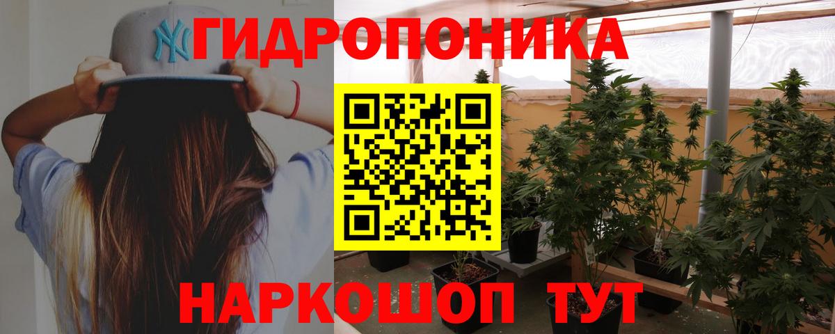 А ПВП Касимов